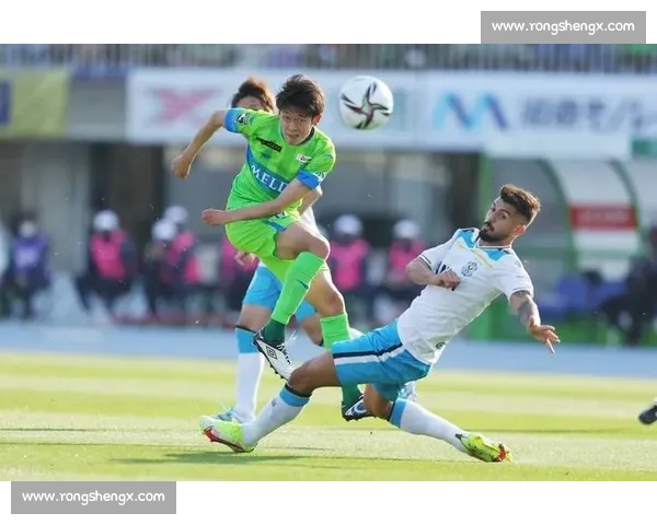 体育数据手机版打造专业赛事分析与实时比分服务平台覆盖全球联赛